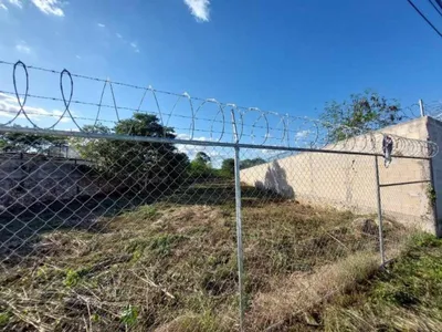 Terreno en renta