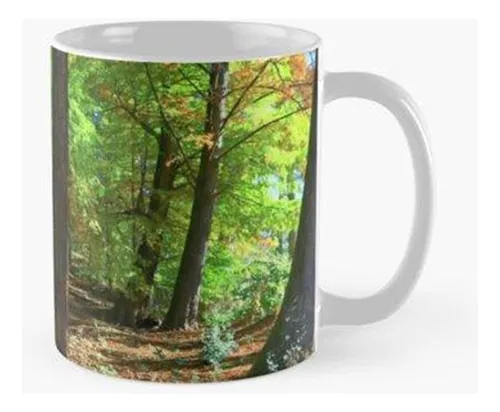 Taza El Bosque De Taxodi Calidad Premium
