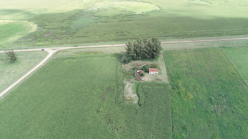 Imagen 15 de 30 de Quinta De 8 Has. A 1.800 Mts Ruta 226 - 100 % Agrícola