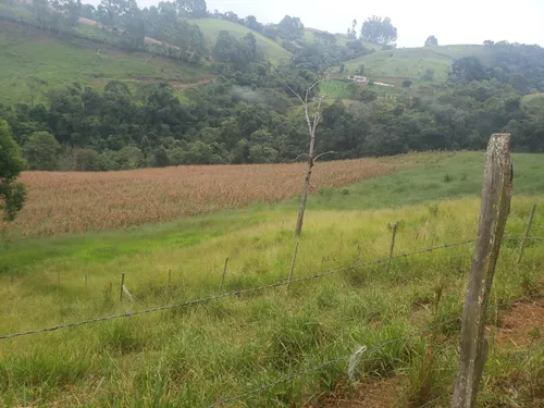 Sitio Em Caldas M G