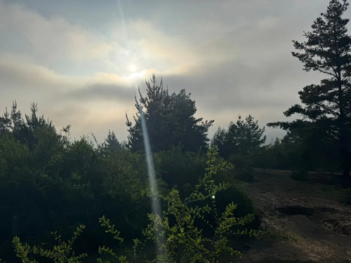 Terreno En Algarrobo Norte, Excelente Ubicación, 5.000 M2.