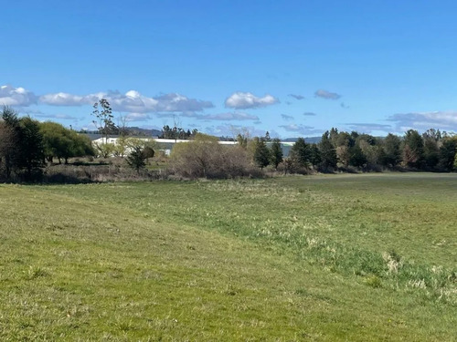 Venta Campo Agrícola Freire