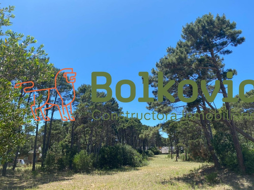 Imagen 5 de 10 de Lote En Venta Pinamar