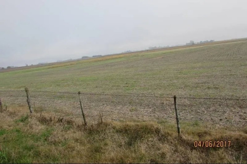 Imagen 5 de 9 de Campo En Venta En Chacabuco