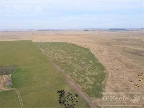 Imagen 18 de 29 de Campo Mixto De 170 Has En San Vicente. Oportunidad!