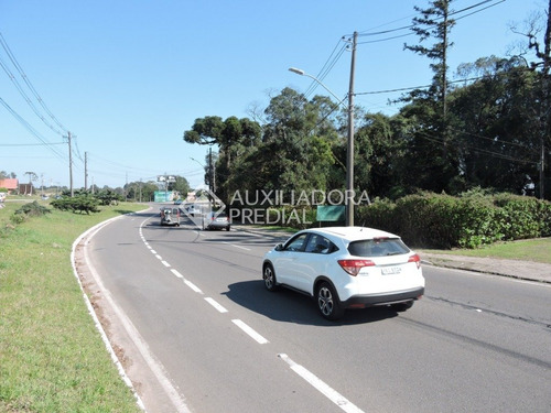 Imagem 9 de 13 de Terreno - Sao Jose - Ref: 262128 - V-262128