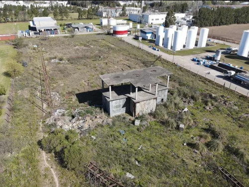 Imagen 4 de 6 de Terreno Industrial Pilar