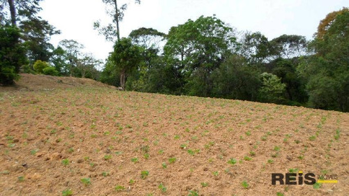 Imagem 24 de 30 de Sítio À Venda, 10000 M² Por R$ 250.000,00 - Piedade - Piedade/sp - Si0017