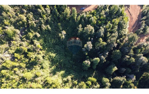 Tu Refugio Natural Cerca Del Lago Ranco