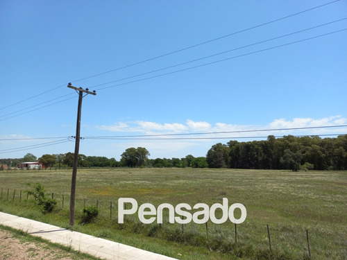 Imagen 6 de 18 de En Venta 1 Hectarea Con Servicios