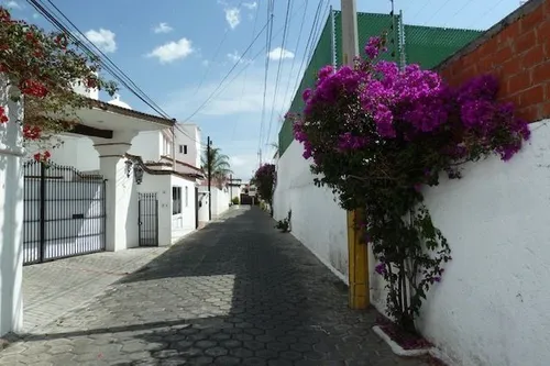 Hermosa Casa Una Planta En Camino Real Y Zavaleta