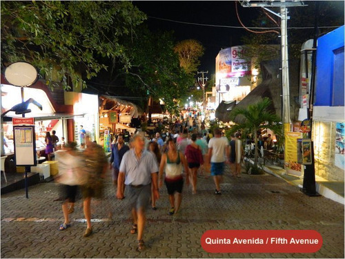 Local Comercial A La Venta A Pasos De La Quinta Avenida En P
