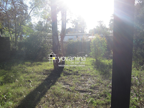 Casa En Parque Del Plata Sur Ref Y104 (inmobiliaria Yovanina Biarritz ,cuchilla Alta, Santa Ana, Balneario Argentino,jaureguiberry)
