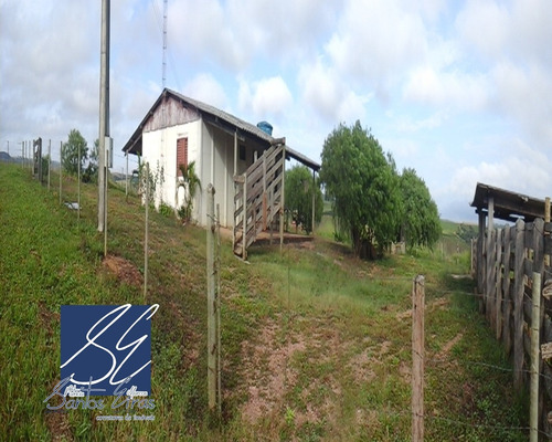 Imagem 12 de 27 de Fazenda - Fa00002 - 4589514