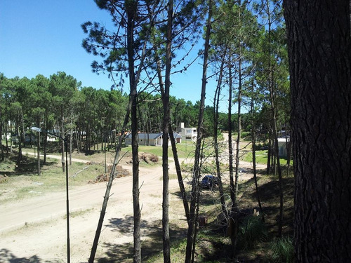 Imagen 4 de 5 de Lote Venta Pinamar