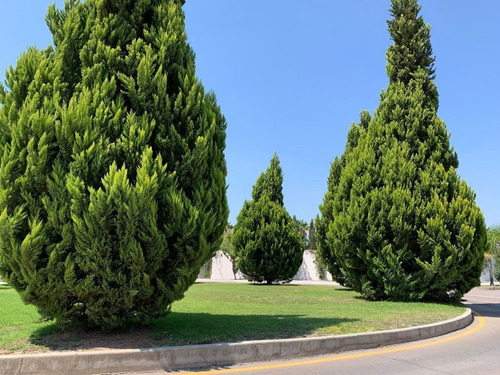Imagen 7 de 9 de Terreno En Venta En Exclusivo Desarrollo: Santa Paulina. 150