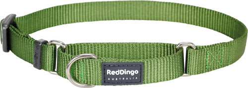 Red Dingo Classic Martingale - Collar Para Perro, Grande, Co