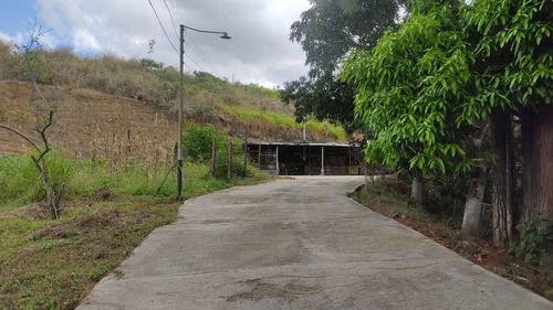 Imagen 8 de 14 de Finca En Venta En Yaracuy