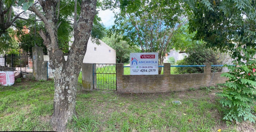 Imagen 6 de 12 de Venta De Lote En Chascomús