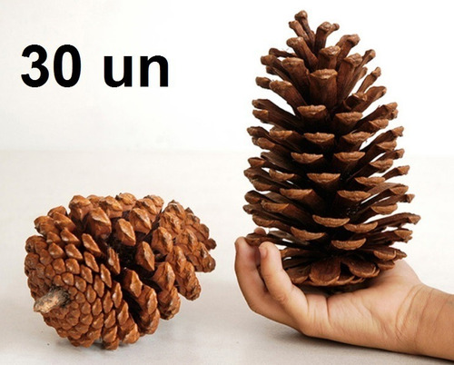 30 Pinhas Natural Natural Enfeite Natal Artesanato Oferta Festa Eventos Pinha Pinos Pino Promoção Decoração Guirlanda 