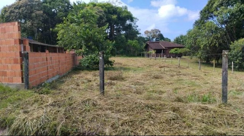 Vendo Negócio Terreno São Francisco Do Sul Sc