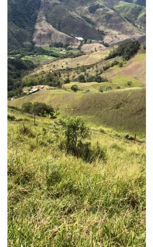Se Vende Finca Naranjal - Roldanillo