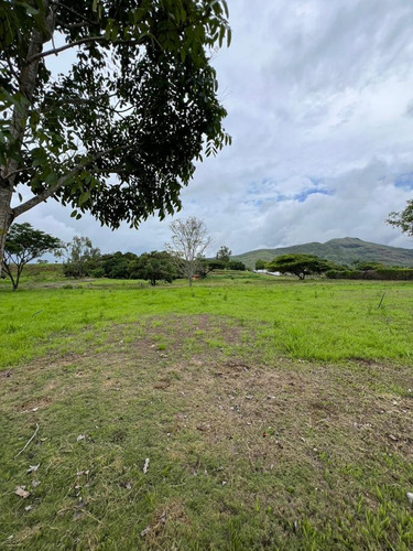 Finca En Tinaquillo, Via Vallecito, Cojedes