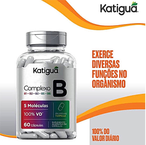 Kit 4 Complexo B B1 B2 B3 B5 B6 60 Capsulas - Katigua