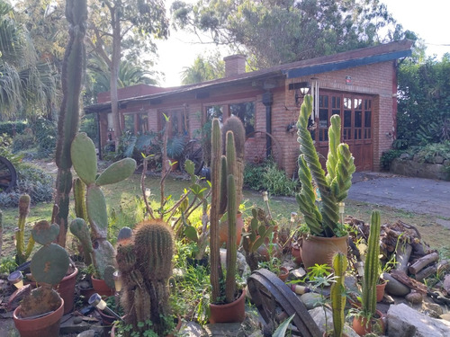 Dueño Vende En Batan Barrio El Morrito Casa Quinta Con Parque, Pileta Y Quincho
