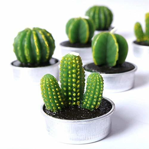 Cocomoon Cactus Tealight Velas, Suculentas Artificiales Deco