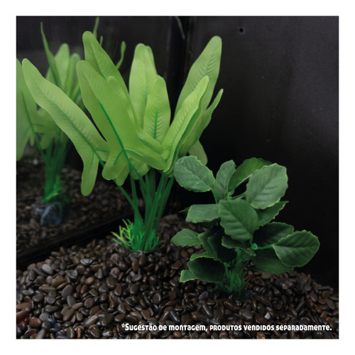Planta Silk Soma Echinodorus Cordifolius 13cm