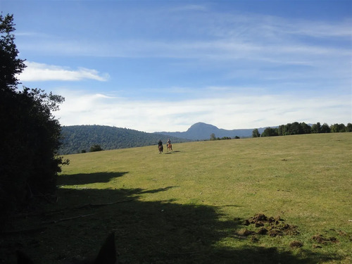 Turisticas En Venta En Lago Ranco