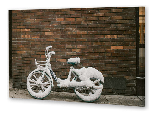 Cuadro 16x24cm Bicicleta Transporte Invierno Winter Ice P1