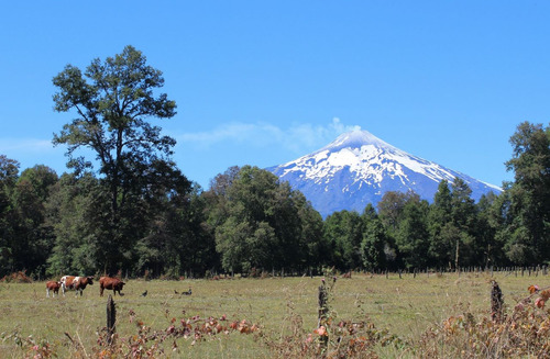 Se Vende Terreno 5000 Mts2 Molco  Villarrica