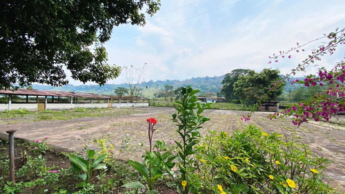 Imagen 3 de 30 de Finca Ganadera En Venta Táchira