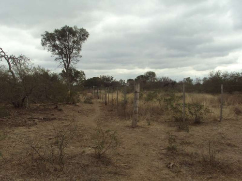 Imagen 2 de 9 de Campo Ganadero En Venta En Santiago Del Estero