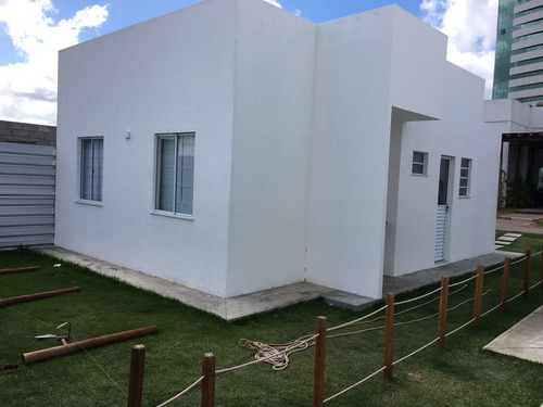 Imagem 3 de 14 de Gardênia 2 Quartos Escritura Grátis Avenida Iguatemi