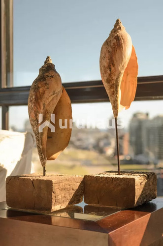 Alquiler Apartamento Tres Dormitorios Punta Del Este Playa Brava Edificio Torre Cristal