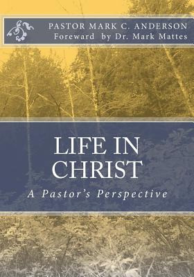 Libro Life In Christ: A Pastor's Perspective - Mattes, Mark