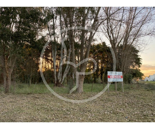 Imagen 2 de 8 de Lote De Terreno En Brandsen Proximo Al Centro