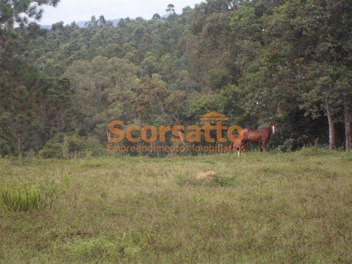 Imagem 5 de 12 de Área À Venda, Potuverá, Itapecerica Da Serra/sp - 4179