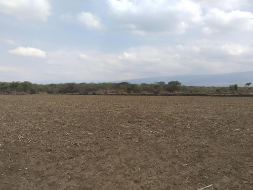 Vendo Terreno Ideal Para Siembra, Invernadero, Rancho Etcétera!