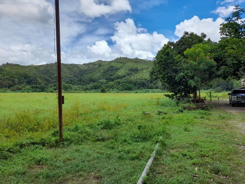 Imagen 9 de 30 de Finca En Guigue, 35 Hectareas. 5610462