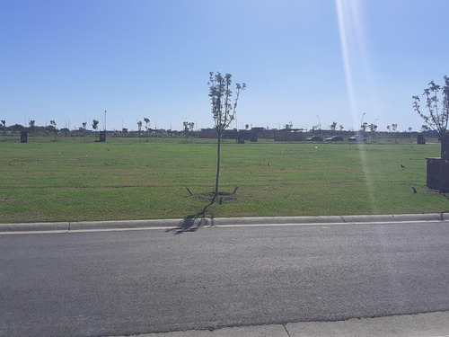 Imagen 4 de 22 de Terreno - Carpinchos