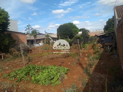 Imagem 5 de 5 de Terreno À Venda, Santa Felicidade - Cascavel/pr - 11462