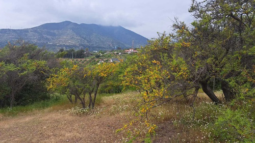 Oportunidad Sitio San Pedro Quillota (154645)