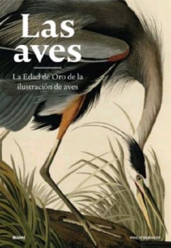 Las Aves - Kennedy, Philip -(t.dura)- *