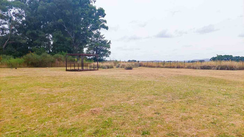 Imagen 23 de 26 de Venta Casa De Te - Vela - Tandil