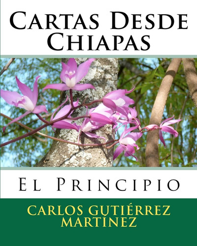 Libro: Cartas Desde Chiapas: El Principio (spanish Edition)