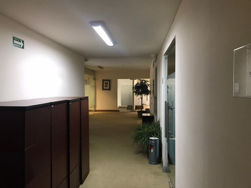 Imagen 2 de 10 de Edificio En Renta En San Pedro